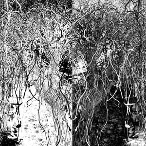 HATE WHEN YOU SAY THAT