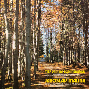 Fruehaufsteher Polka (Remastered)