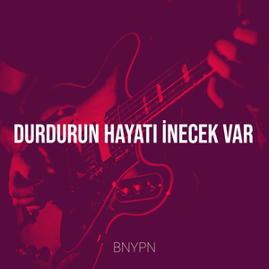 Durdurun Hayatı İnecek Var
