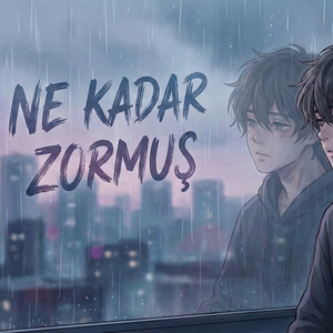 Ne Kadar Zormuş