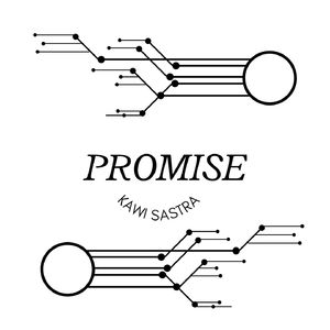 Promise