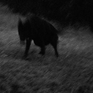 LOST IN LIES : WAXING GIBBOUS VEIL