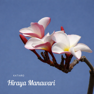 Manawari Dreams