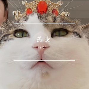 我希望今年比初雪先来的是你