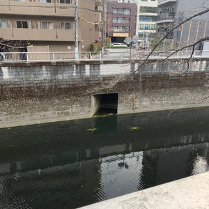 キレイになれたら