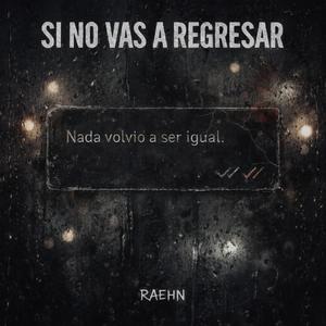 si no vas a regresar