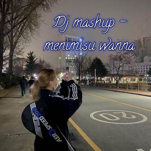 DJ mashup menimisu wanna sulama