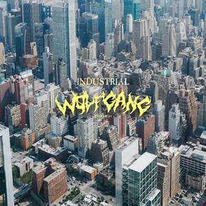 INDUSTRIAL WOLFGANG INSTRUMENT