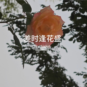 夏天剩下了爱