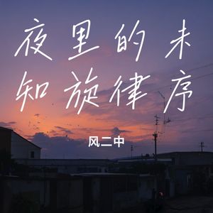 夜里的未知旋律序