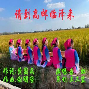 请到高邮临泽来
