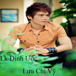Lưu Chí Vỹ Nonstop