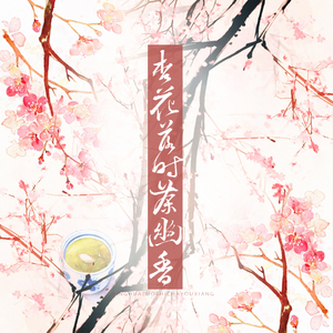 杏花落时茶幽香