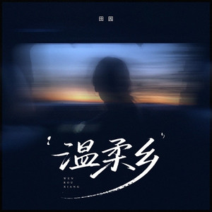 温柔乡 (DJ豪大大版)