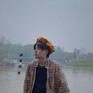此去经年 伴奏
