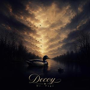 Decoy
