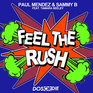 Feel the Rush (Paul Mendez Bigroom Remix)