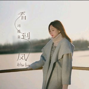 看到风（翻自 杨舒淇）