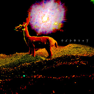 ナイトサファリ