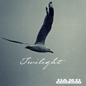 Twilight