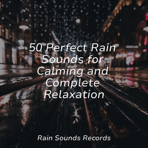 Lake Shore, Ripples, Bird Calls