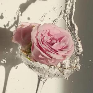 ELEVEN (人声纯享)