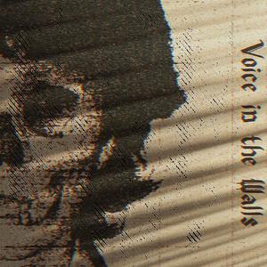 Voice in the Walls