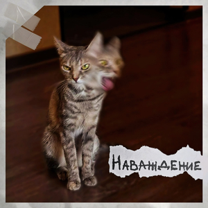 Мимикрия (bonus)