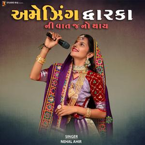 Amazing Dwarka Ni Vat J No Thay | અમેઝિંગ દ્વારકા ની વાત જ નો થાય