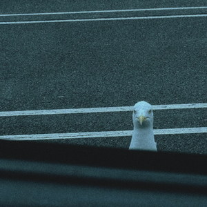 Tesby (Little by Little Remix)