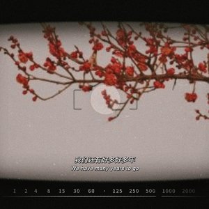 她的故事