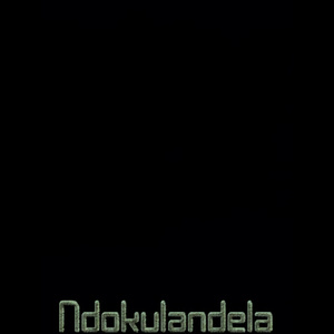 Ndokulandela (Demo)