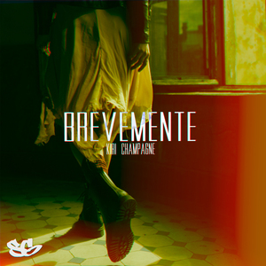 Brevemente