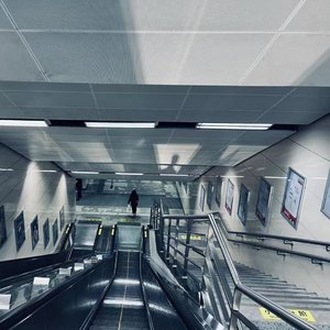星海留白