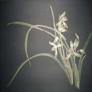 骨簪（Cover 月缨）