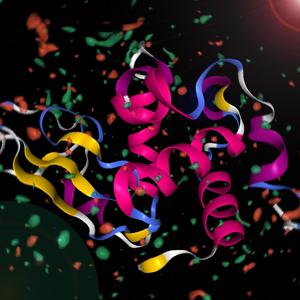 Lysozyme Enzyme