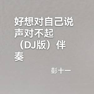 好想对自己说声对不起（DJ版）伴奏