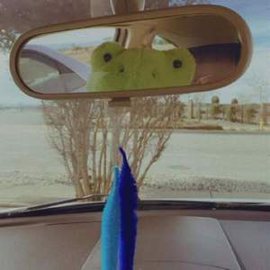 失望快攒够了—66颜