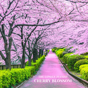 Cherry Blossom