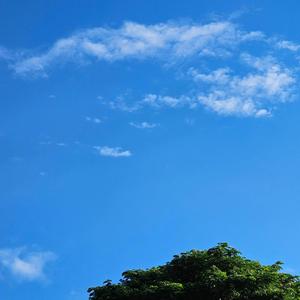 After the Rain