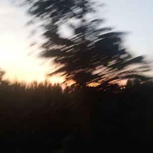 小 鹿 乱 撞（Prod by WayMen）