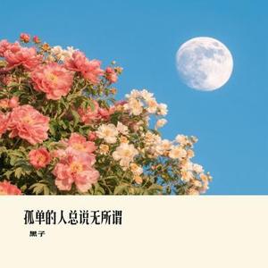 孤单的人总说无所谓 (黑子 Remix)