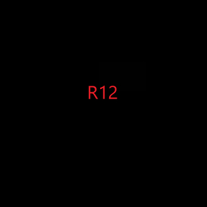 R12