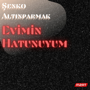 Evimin Hatunuyum