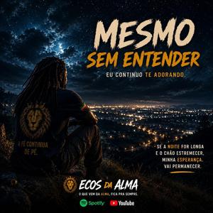 Mesmo Sem Entender