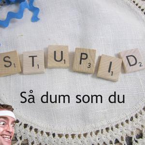 Så dum som du