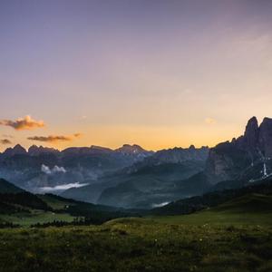 野花做了玫瑰花的梦