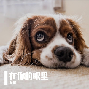 在你眼里