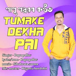 Tumake dekha pai