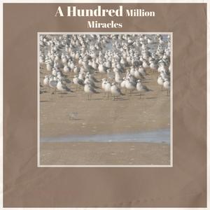 Dreamland Last Night